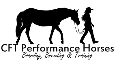 CFT Performance Horses